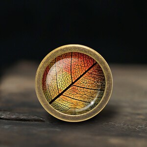 May include: A round, brass-coloured pendant with a glass insert featuring a detailed image of a leaf in shades of red, orange, and yellow.