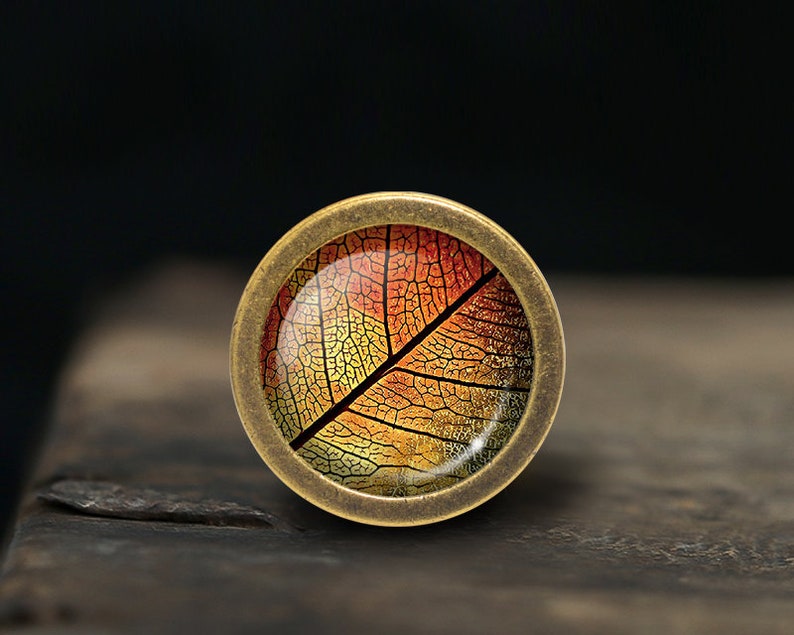 May include: A round, brass-coloured pendant with a glass insert featuring a detailed image of a leaf in shades of red, orange, and yellow.