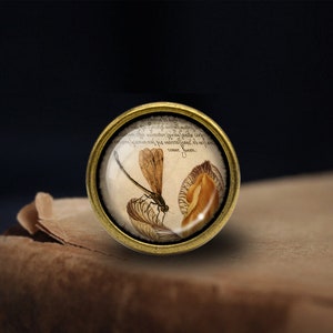 May include: A gold-toned round knob with a glass dome featuring a vintage illustration of a dragonfly and a leaf. The knob has a detailed, ornate design.
