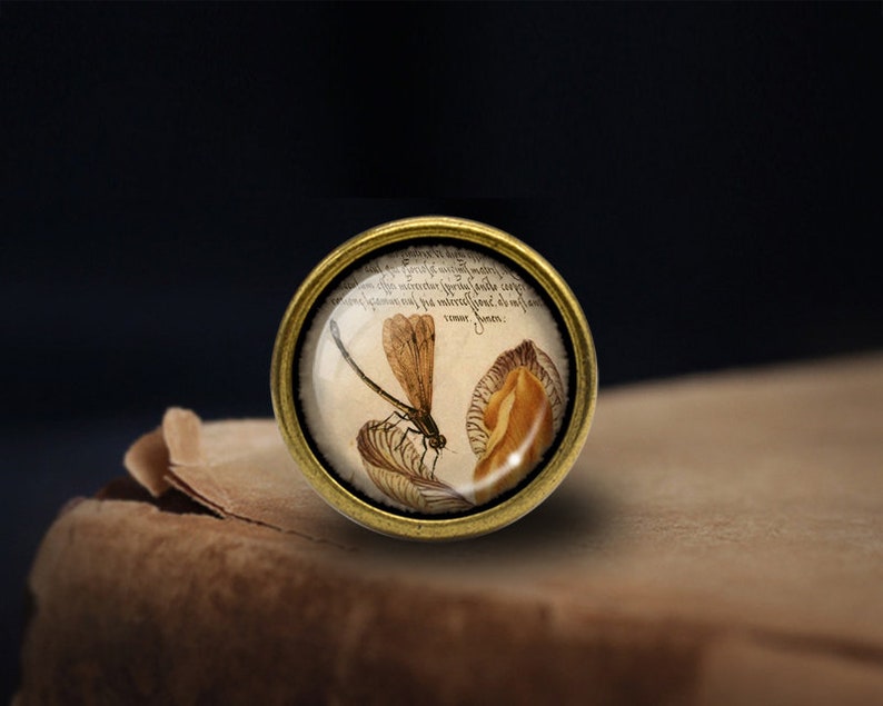 May include: A gold-toned round knob with a glass dome featuring a vintage illustration of a dragonfly and a leaf. The knob has a detailed, ornate design.