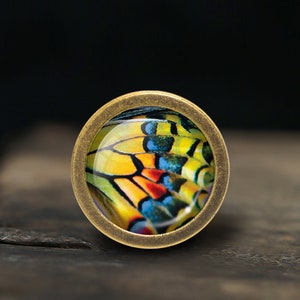 Peut inclure: Un pendentif rond de couleur laiton avec un motif d'aile de papillon coloré. L'aile de papillon est jaune, bleue, rouge et verte.