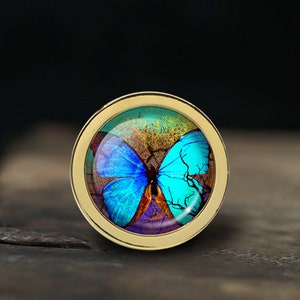 Op de afbeelding: Een ronde, goudkleurige knop met een glazen inzetstuk met een kleurrijke vlinder met blauwe, paarse en oranje vleugels tegen een bruine en gouden achtergrond.