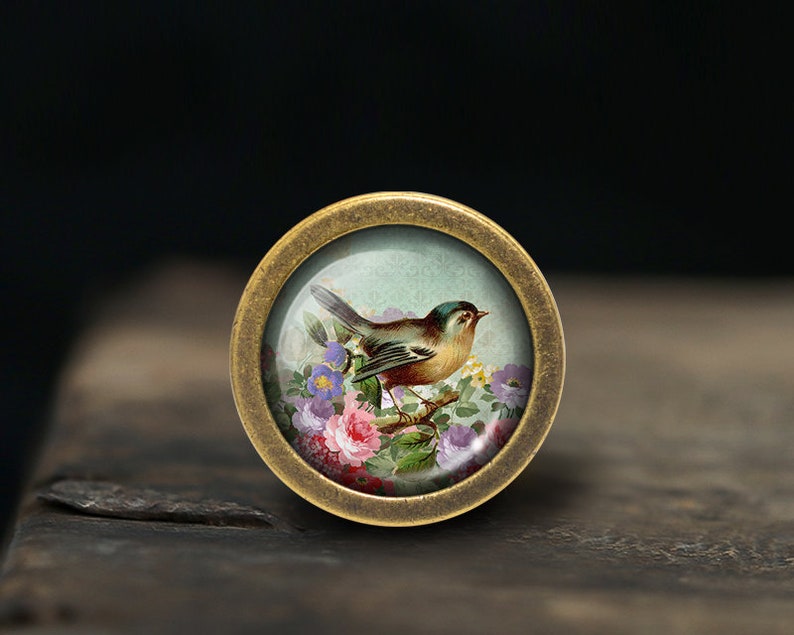 K&ouml;nnte beinhalten: Ein Messingknopf mit einer runden Glasplatte, die eine Vintage-Illustration eines Vogels zeigt, der auf einem Zweig mit rosa, lila und wei&szlig;en Blumen sitzt.