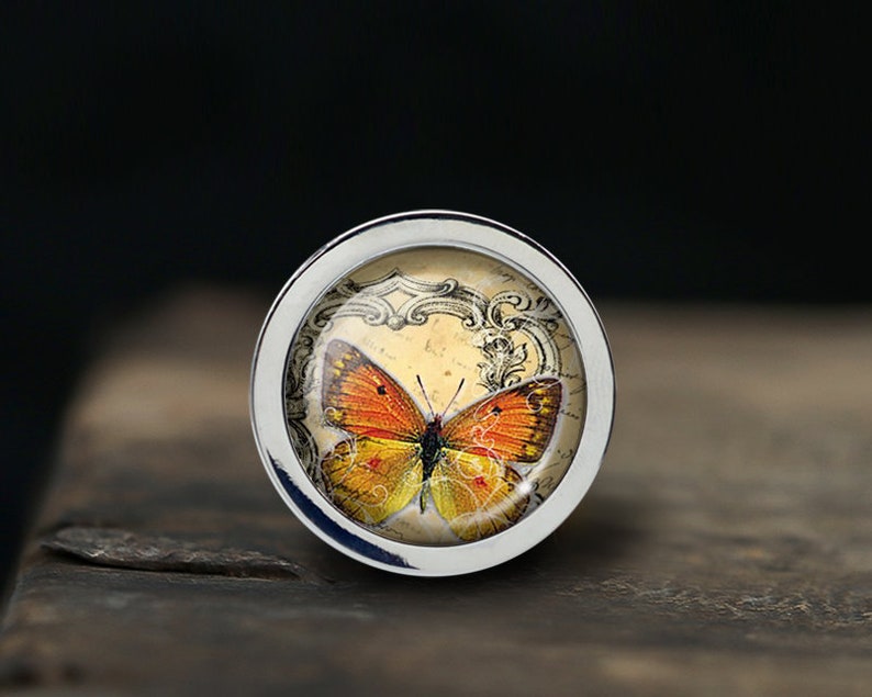 Pode incluir: Uma ma&ccedil;aneta de prata com um inserto de vidro redondo que apresenta uma ilustra&ccedil;&atilde;o vintage de uma borboleta laranja e amarela sobre um fundo creme com desenhos florais ornamentados.