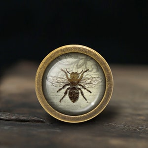 May include: A brass knob with a glass insert featuring a vintage illustration of a bee on a white background.
