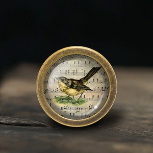 Op de afbeelding: Een ronde, messingkleurige knop met een glazen inzet met een vintage illustratie van een vogel die op een noot zit. De achtergrond is een blad muziek.