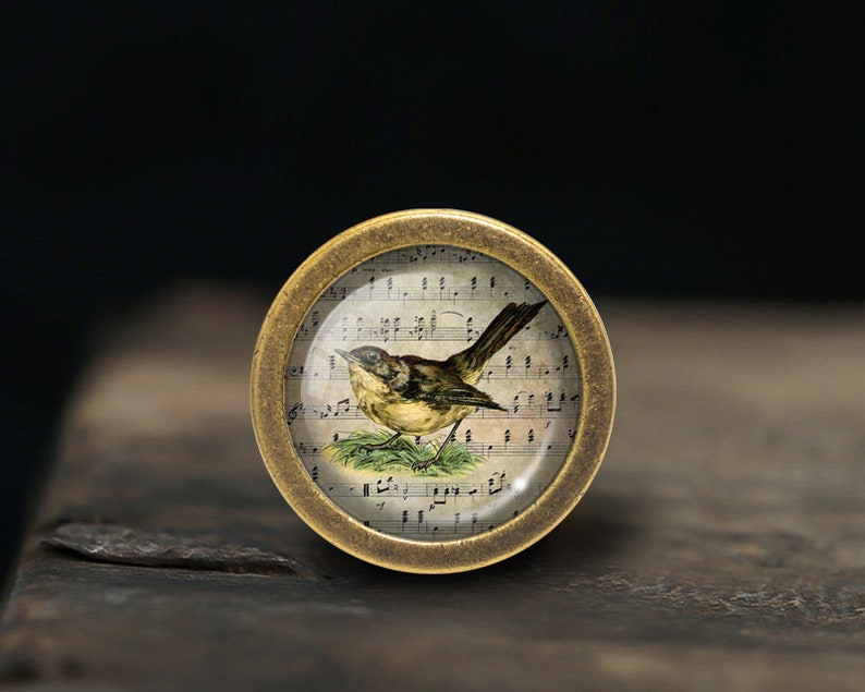 Op de afbeelding: Een ronde, messingkleurige knop met een glazen inzet met een vintage illustratie van een vogel die op een noot zit. De achtergrond is een blad muziek.