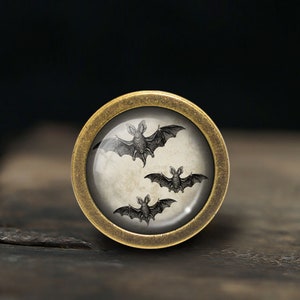 K&ouml;nnte beinhalten: Ein runder, messingfarbener Knopf mit einem Glaseinsatz, der eine Vintage-Illustration von drei Flederm&auml;usen zeigt, die vor einem wei&szlig;en Hintergrund fliegen.