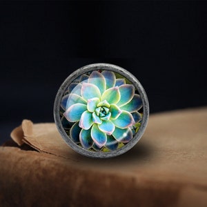 May include: A round, silver-colored knob with a glass insert featuring a close-up image of a succulent plant with green, blue, and pink hues.