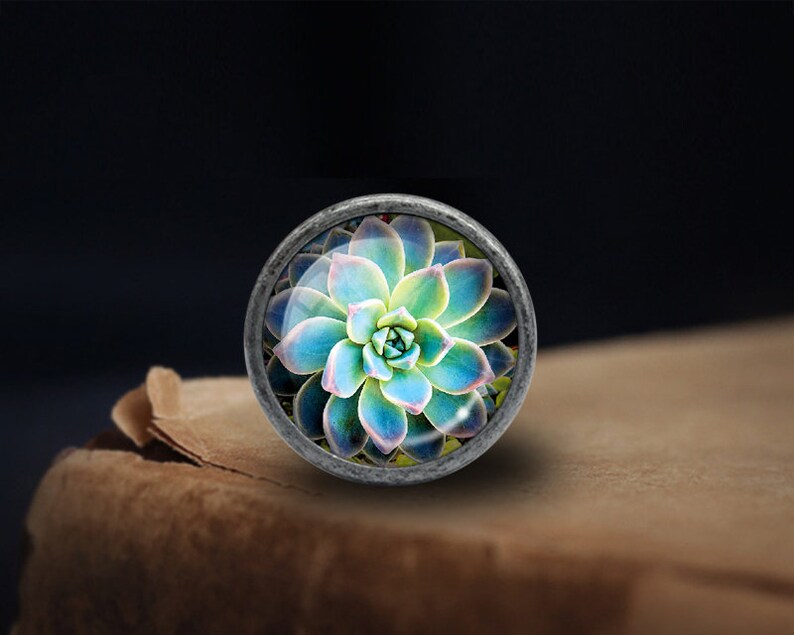 May include: A round, silver-colored knob with a glass insert featuring a close-up image of a succulent plant with green, blue, and pink hues.