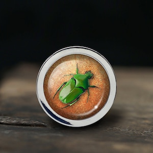 May include: A silver ring with a green beetle encased in a clear resin dome. The beetle is on a brown background.
