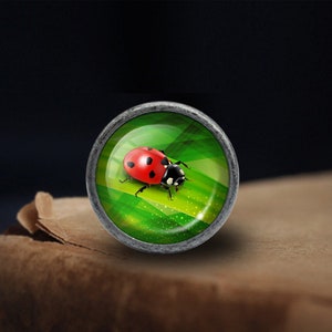 May include: A round, silver-coloured knob with a glass insert featuring a red and black ladybug on a green leaf background.