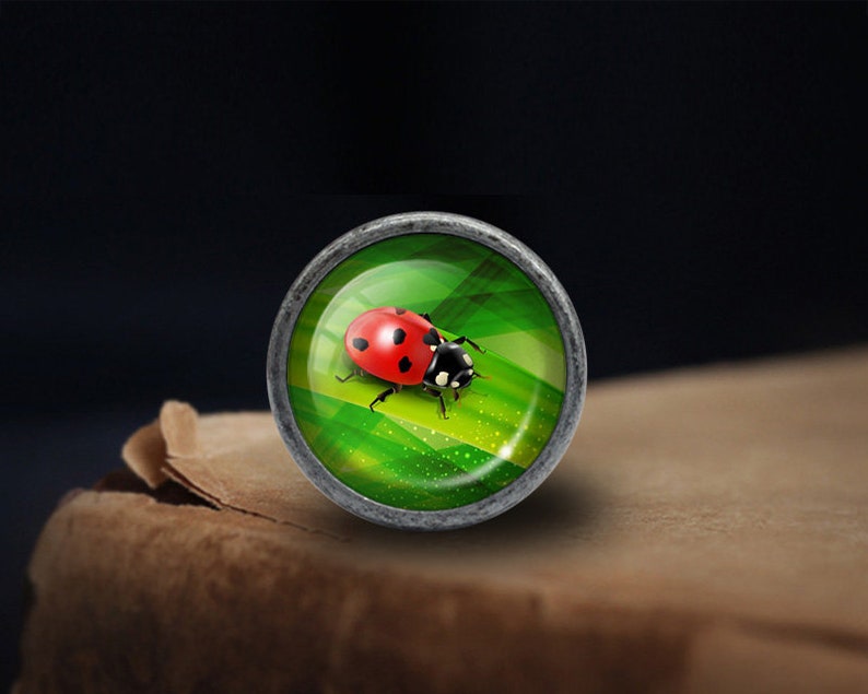 May include: A round, silver-coloured knob with a glass insert featuring a red and black ladybug on a green leaf background.