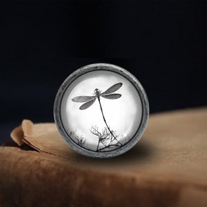 Dragonfly Knobs Drawer Knobs Pulls Kitchen Cabinet Pulls Handle Furniture handle Exquisite Dresser Knobs Door Knob Decor Furniture Hardware