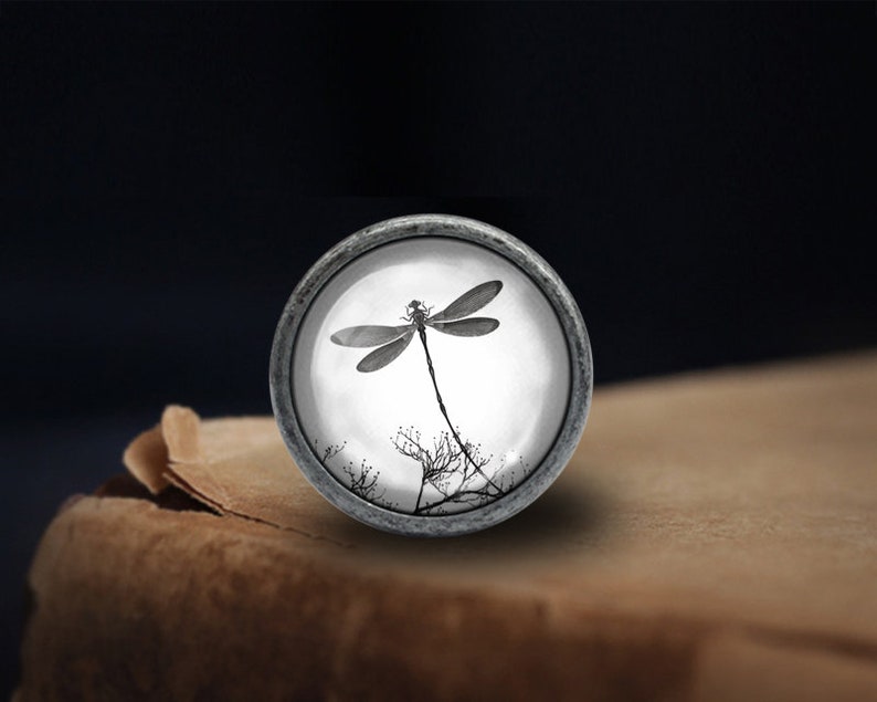 Trollsländeknoppar Lådknoppar Handtag Kökshandtag Möbelhandtag Utsökta byråknoppar Dörrknopp Dekor Möbelbeslag bild 1