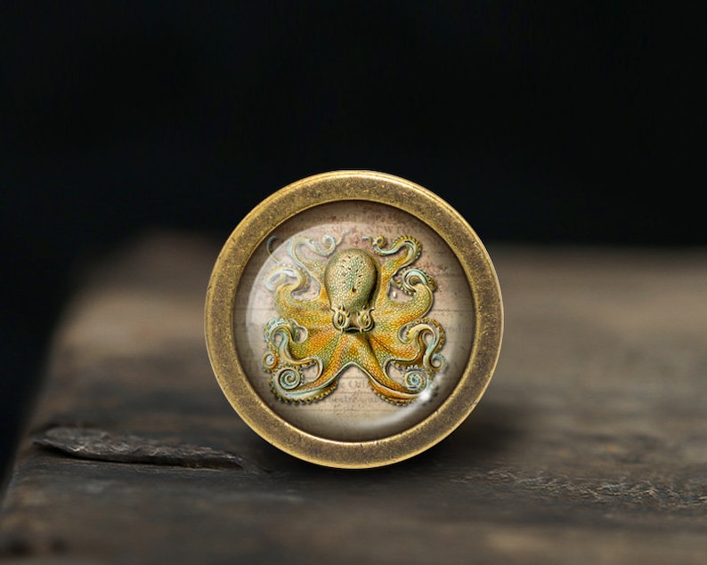 May include: A brass knob with a glass insert featuring an illustration of an octopus with yellow and green tentacles on a white background.