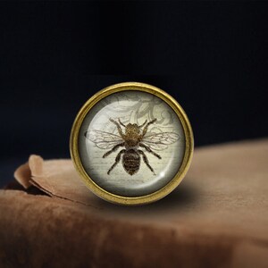 May include: A gold-toned metal ring with a glass cabochon featuring a vintage illustration of a bee on a white background.