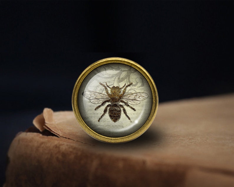 May include: A gold-toned metal ring with a glass cabochon featuring a vintage illustration of a bee on a white background.