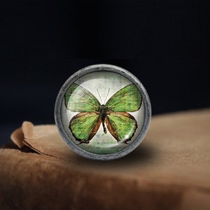 May include: A silver knob with a glass top featuring a green butterfly with brown markings. The butterfly is centred in the glass and appears to be on a vintage background.