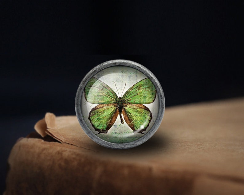 May include: A silver knob with a glass top featuring a green butterfly with brown markings. The butterfly is centred in the glass and appears to be on a vintage background.