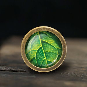 Könnte beinhalten: Ein runder, messingfarbener Ring mit einem grünen Blattdesign im Inneren des Rings.