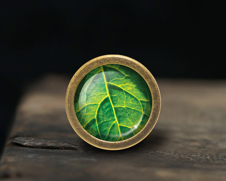 May include: A round, brass-coloured ring with a green leaf design inside the ring.