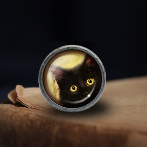 Op de afbeelding: Een zwarte kat met gele ogen kijkt uit een ronde, zilverkleurige hanger. De kat wordt omlijst door een gele halo.