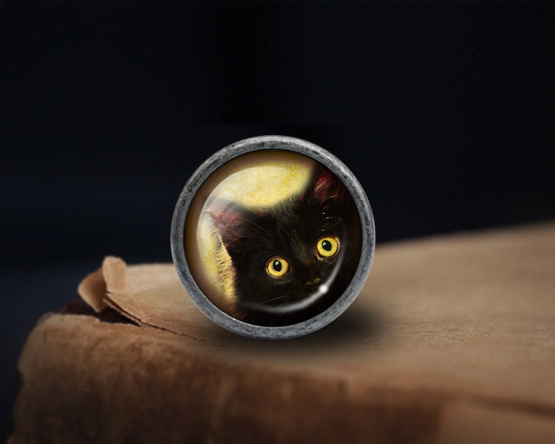 Op de afbeelding: Een zwarte kat met gele ogen kijkt uit een ronde, zilverkleurige hanger. De kat wordt omlijst door een gele halo.