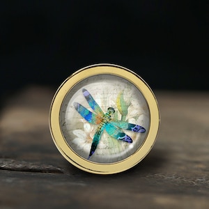 Dragonfly Knobs Drawer Knobs Pulls Kitchen Cabinet Pulls Handle Furniture handle Exquisite Dresser Knobs Door Knob Decor Furniture Hardware