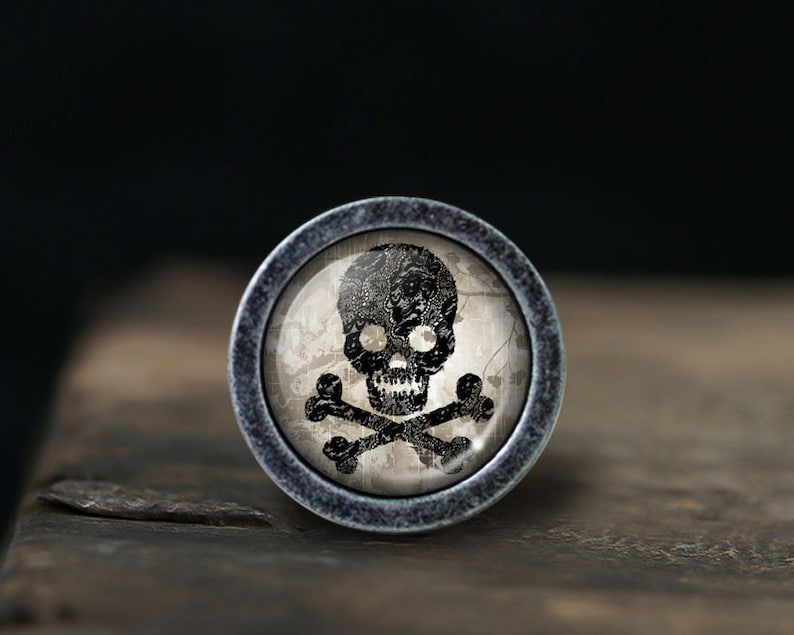 May include: A round, silver-toned knob with a black and white skull and crossbones design on a white background.