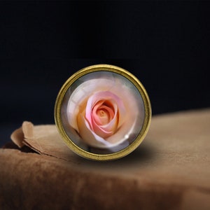 Op de afbeelding: Een ronde knop in goudkleur met een glazen koepel met een roze en witte roos.