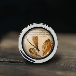 Dragonfly Knobs Drawer Knobs Pulls Kitchen Cabinet Pulls Handle Furniture handle Exquisite Dresser Knobs Door Knob Decor Furniture Hardware