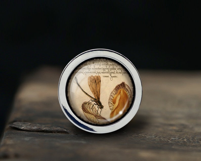 May include: A silver ring with a glass dome featuring a vintage illustration of a dragonfly and a plant. The illustration is surrounded by text in a cursive font.