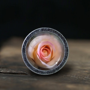 Könnte beinhalten: Eine rosa Rose, die in einer durchsichtigen Glaskuppel mit einem silbernen Metallrahmen eingeschlossen ist.