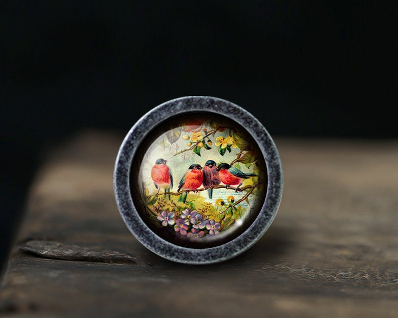Peut inclure: Un bouton rond en argent avec un insert en verre repr&eacute;sentant une illustration vintage de quatre oiseaux &agrave; poitrine rouge perch&eacute;s sur une branche avec des fleurs roses et jaunes.