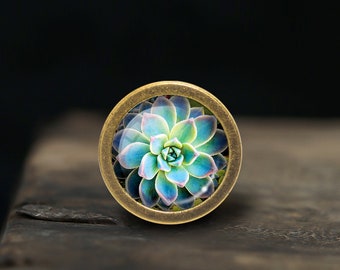 Succulents Knobs Drawer Knobs Pulls Kitchen Cabinet Pulls Handle Furniture handle Exquisite Dresser Knobs Door Knob Decor Furniture Hardware
