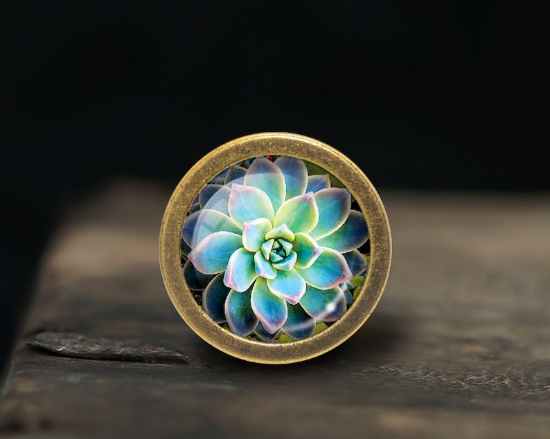May include: A round, brass-colored pendant with a glass dome featuring a close-up image of a blue and green succulent plant.