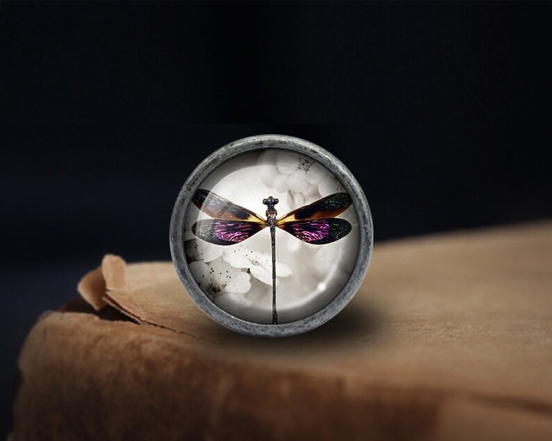 May include: A silver-toned round knob with a glass insert featuring a purple and yellow dragonfly on a white background.