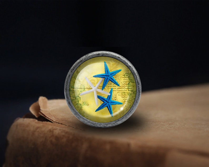 May include: A round, silver-coloured knob with a glass insert featuring a yellow background and two starfish. One starfish is white and the other is blue.