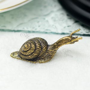 Brass Snails Knob Antique bronze Solid Brass Knob Kitchen Cabinet Handle Pull Knob Brass Drawer pull Dresser Handle Furniture Hardware