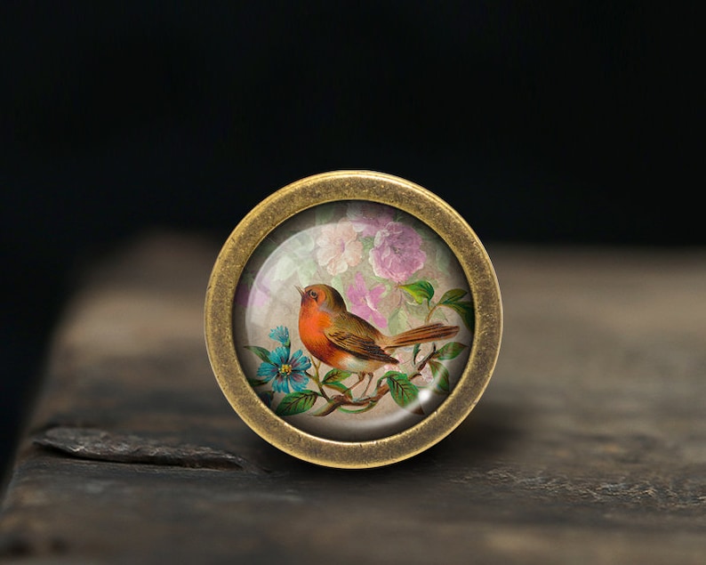 May include: A round, brass-coloured pendant with a glass dome featuring a painted image of a small, orange-breasted bird perched on a branch with pink and blue flowers.