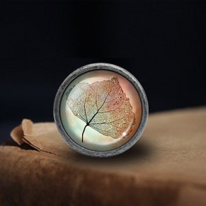 Puede incluir: Un pomo redondo plateado con un inserto de vidrio que presenta un dise&ntilde;o de hoja delicado y detallado en tonos de naranja, rosa y verde.