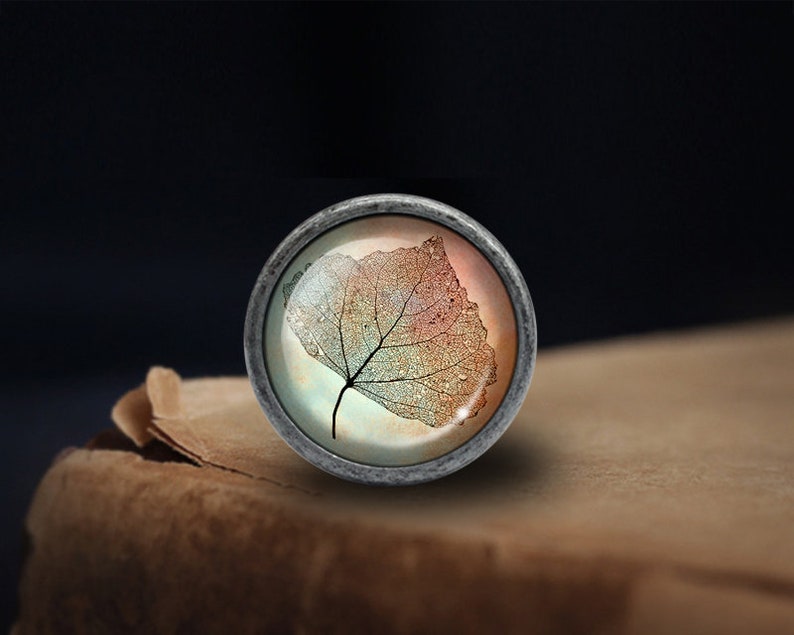 Puede incluir: Un pomo redondo plateado con un inserto de vidrio que presenta un dise&ntilde;o de hoja delicado y detallado en tonos de naranja, rosa y verde.