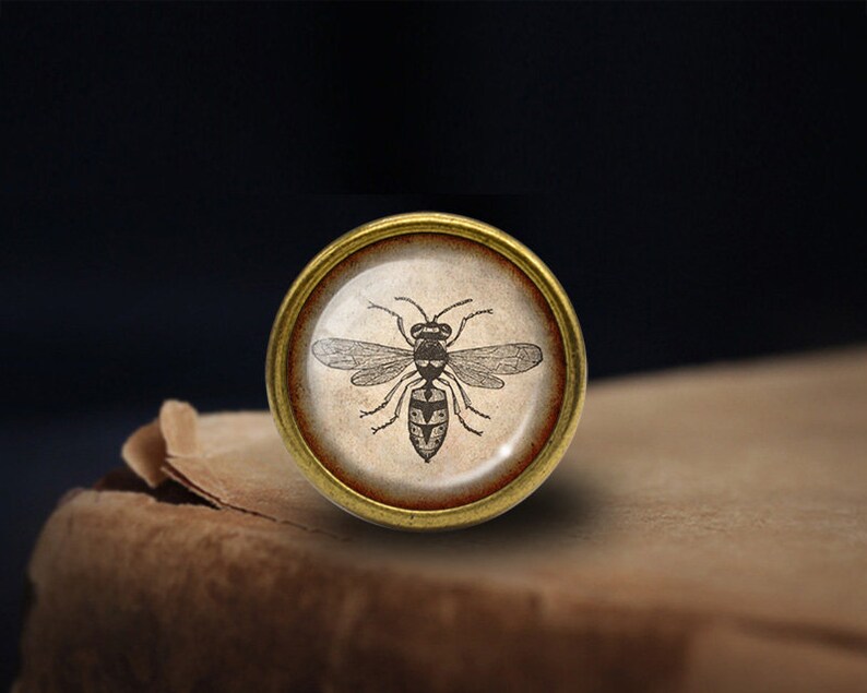 Op de afbeelding: Een vintage messing knoop met een zwart-witte illustratie van een wesp op een cr&egrave;mekleurige achtergrond.