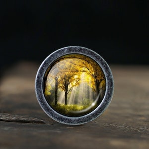 Könnte beinhalten: Ein silberner Knopf mit einem runden Glaseinsatz, der ein Foto einer Waldszene mit goldenen Blättern und Sonnenstrahlen zeigt.