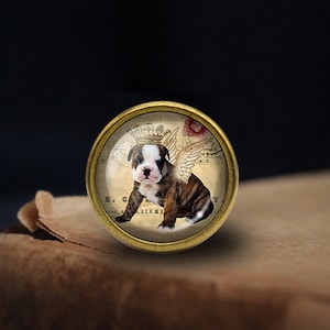 Dog Knobs Drawer Knob Pulls Kitchen Cabinet Pulls Handle Furniture handle Exquisite Dresser Knob Door Knob Decor Furniture Hardware