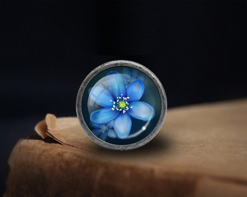 Puede incluir: Una flor azul con un centro amarillo est&aacute; encerrada en una c&uacute;pula redonda de vidrio plateado.