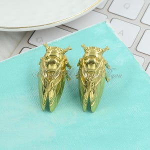 Cicada Solid Brass Knob Cabinet Pulls Drawer Knob Dresser Pull Kitchen Knobs Pulls Cabinet Pull Hardware Dresser Handles Furniture Hardware