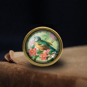 Può includere: Un gioiello rotondo in vetro con una cupola in ottone con un'immagine vintage di un uccello blu e giallo appollaiato su un ramo con fiori rosa.