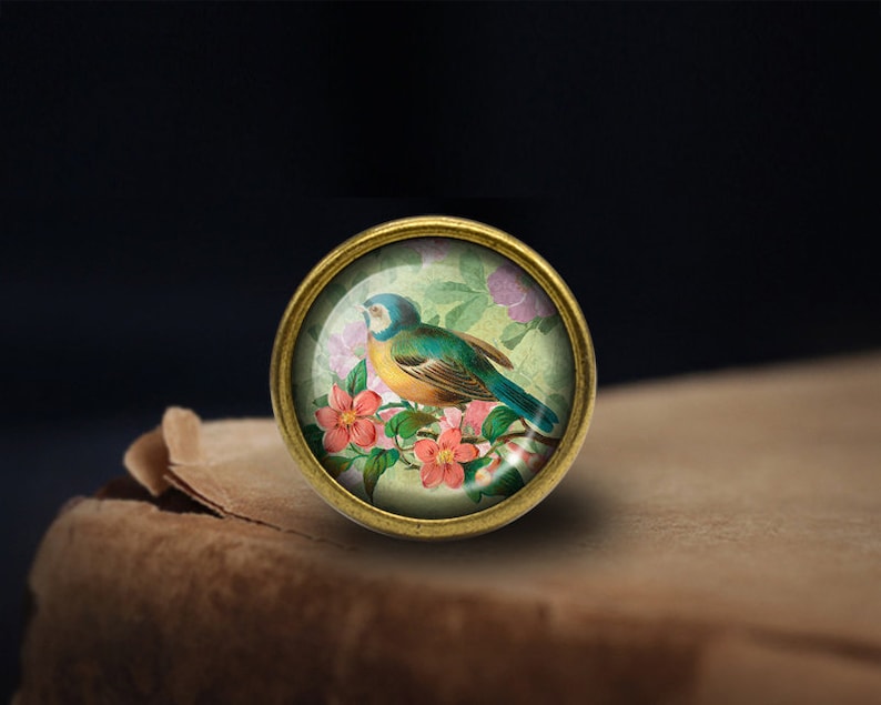 May include: A round, brass-colored, glass-topped trinket with a vintage image of a blue and yellow bird perched on a branch with pink flowers.